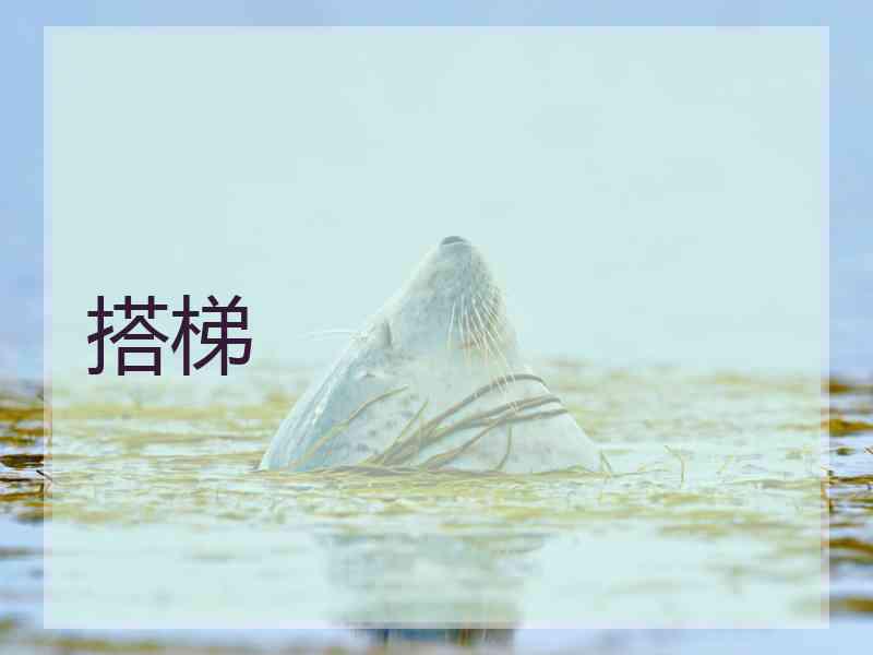 搭梯 搭梯