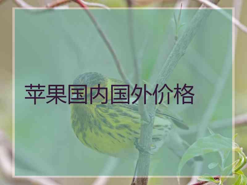 苹果国内国外价格