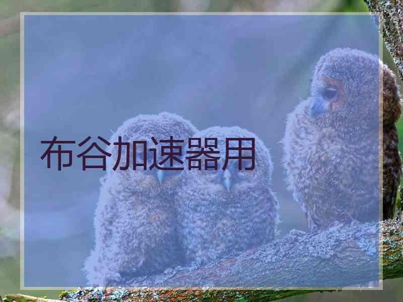 布谷加速器用