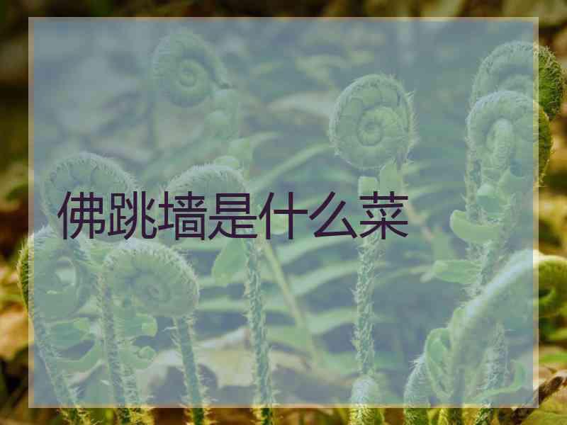 佛跳墙是什么菜