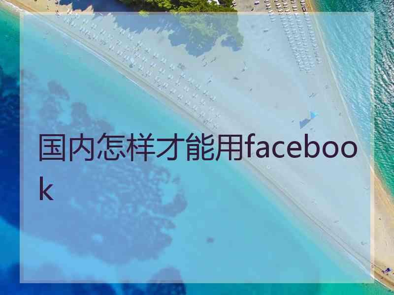 国内怎样才能用facebook