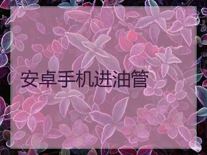 安卓手机进油管