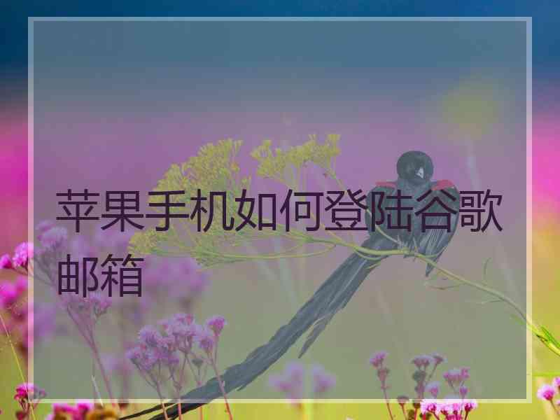 苹果手机如何登陆谷歌邮箱