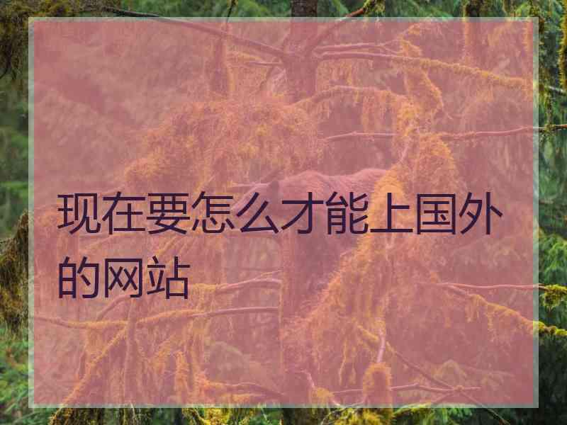 现在要怎么才能上国外的网站
