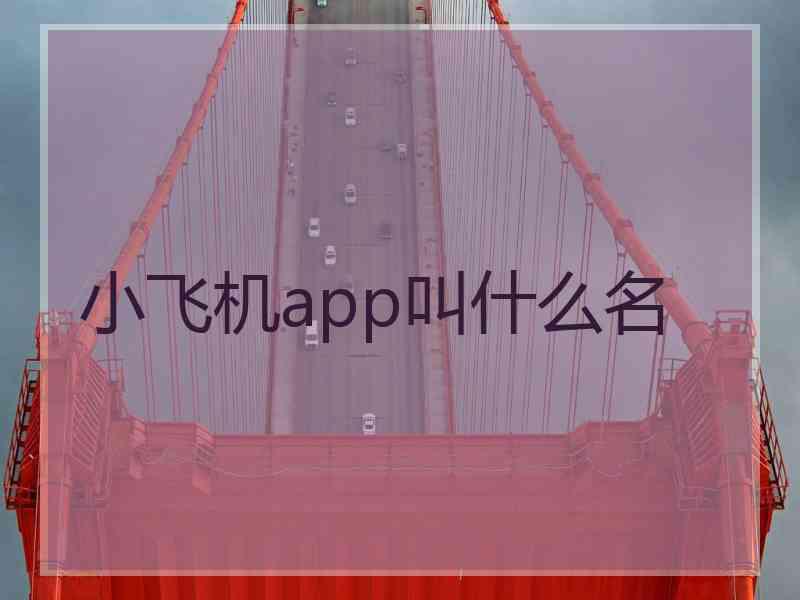 小飞机app叫什么名