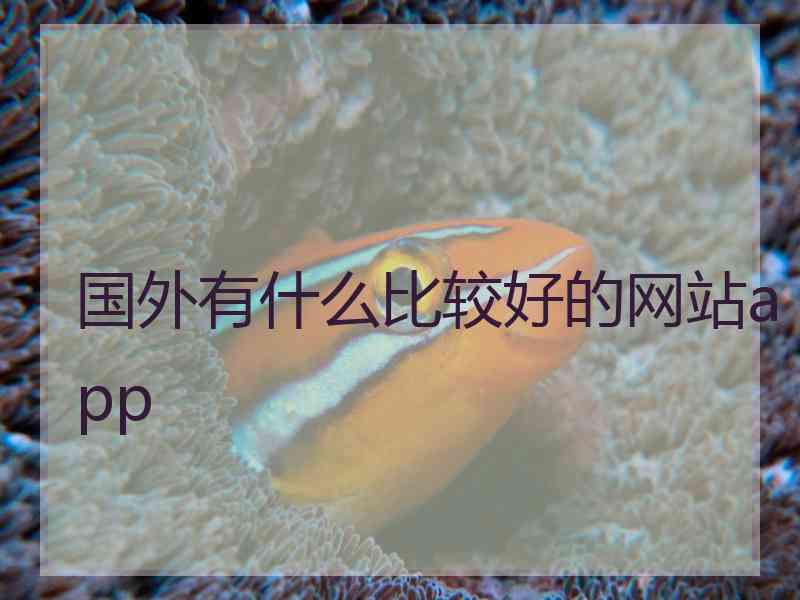 国外有什么比较好的网站app