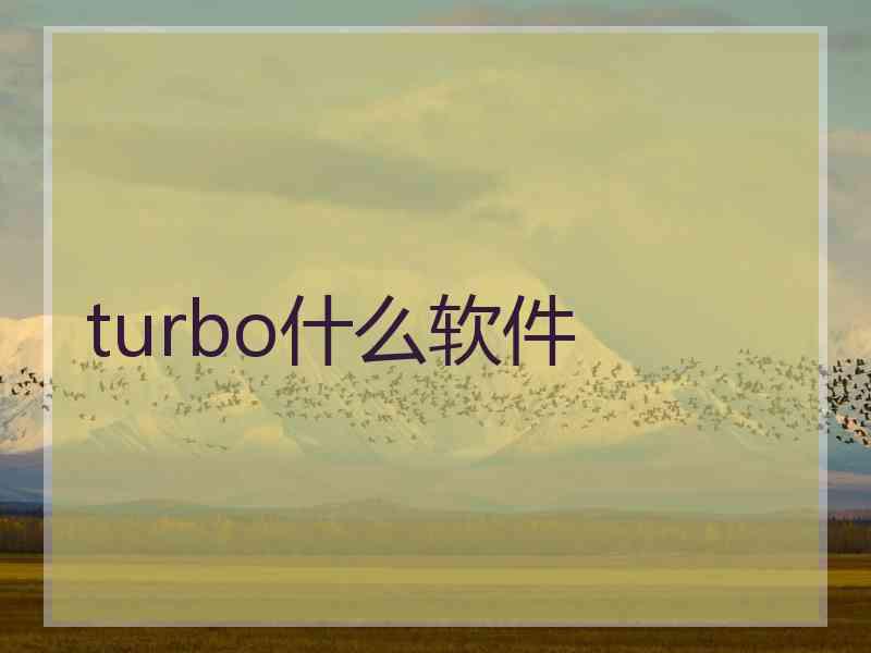 turbo什么软件