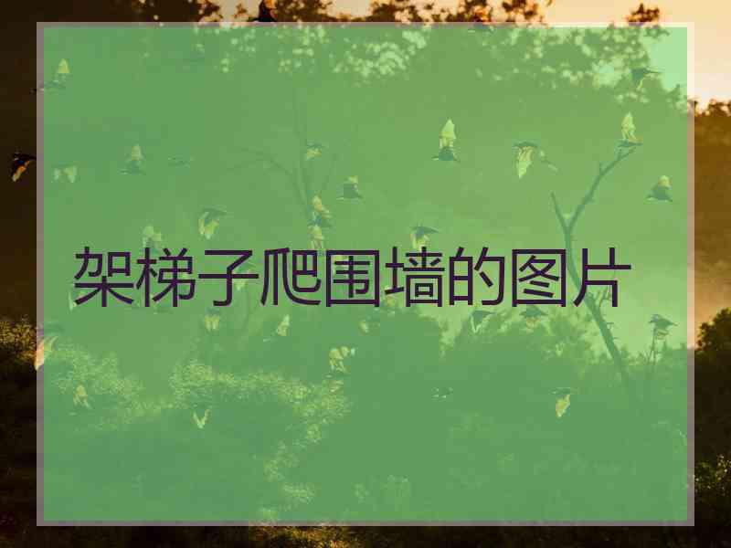 架梯子爬围墙的图片